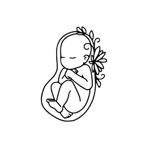 schwangerschaft-verlust